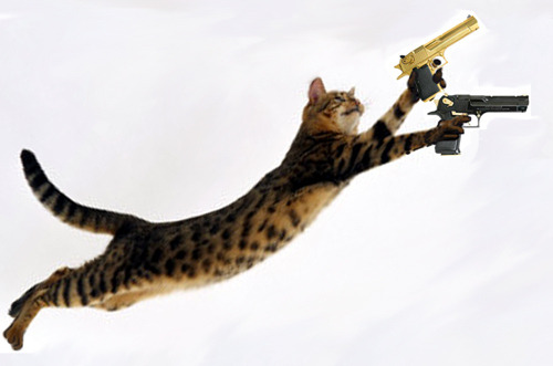 Funny Cats with Guns  5