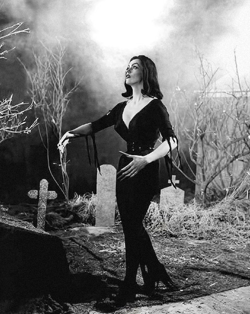 Vampirella in Plan 9 From Outer Space