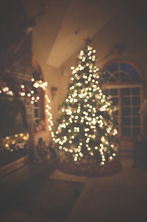 Christmas Tree Lights Tumblr | quoteeveryday.com