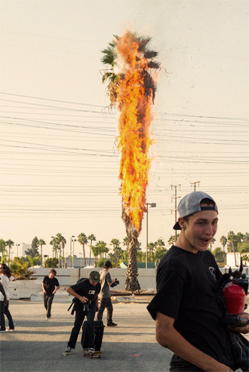 druge-d:

kobiewilliam:
Accidentally setting a tree on fire at the end of Pretty Sweet made the video.






