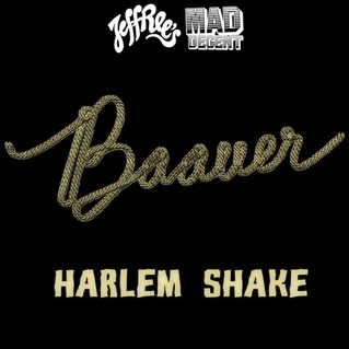 041  Harlem Shake Baauer