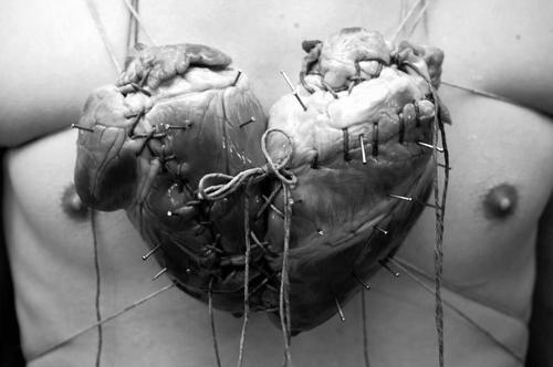 karma-always-bites-back: crucialsayslisten: hooplaaaaah: the-vegan-muser: josh-fallstar: Am I the only one that knows the stereotypical heart shape was meant to be two hearts fused together? OH MY GOD THAT MAKES SO MUCH SENSE cuz the weird fake heart shape is about love, it’s about TWO HEARTS COMING TOGETHER guys. whoa. talk about mindfucked. Greatest source of information I’ve come across on Tumblr. EVER. That’s fuckin’ ill.. RIGHT IN THE FEELS. OMG! love it &lt;3 