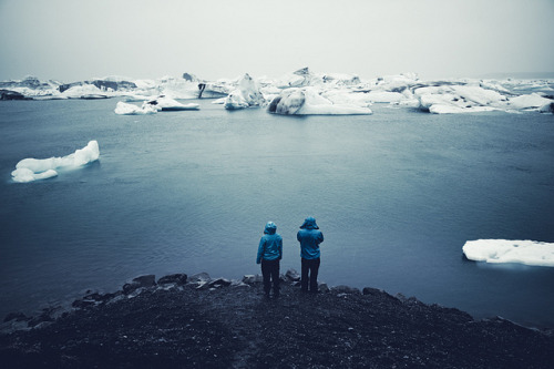 jcoffea: A Swan Song For Icebergs by Rasmus Hartikainen on Flickr. 