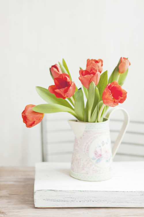 Tulips (by Kate Morozova) 
