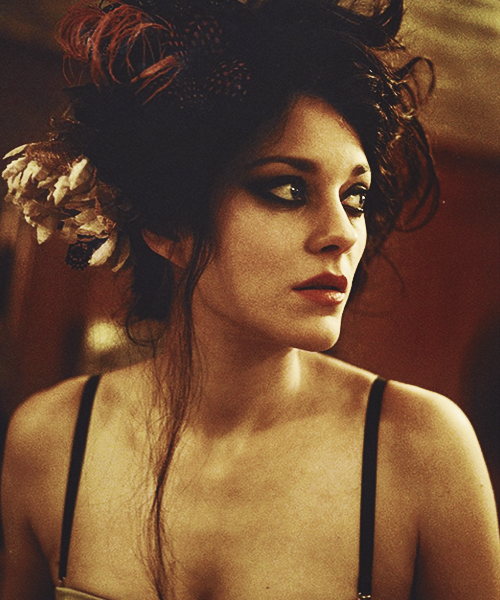  Marion Cotillard in David Bowie’s new music video “The Next Day” 