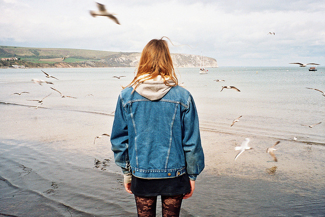 sinkling: Seagulls by amalia-paraskeva on Flickr. 