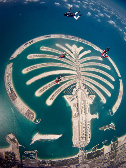 mystic-revelations: Skydive Dubai By Acz Photographer (France/Lille) 
