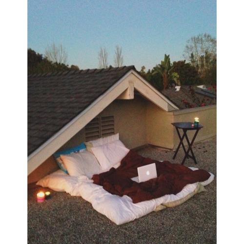 madeline02: taylormaders: tallichet: neonislands: this is where i hangout omg need… perfection 