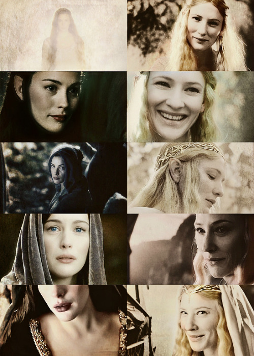  But first I will plead this excuse, ’ said Éomer. ‘Had I seen her in other company, I would have said all that you could wish. But now I will put Queen Arwen Evenstar first, and I am ready to do battle on my own part with any who deny me. Shall I call for my sword?’ Then Gimli bowed low. ‘Nay, you are excused for my part, lord, ’ he said. ‘You have chosen the Evening; but my love is given to the Morning. And my heart forebodes that soon it will past away for ever.’ 