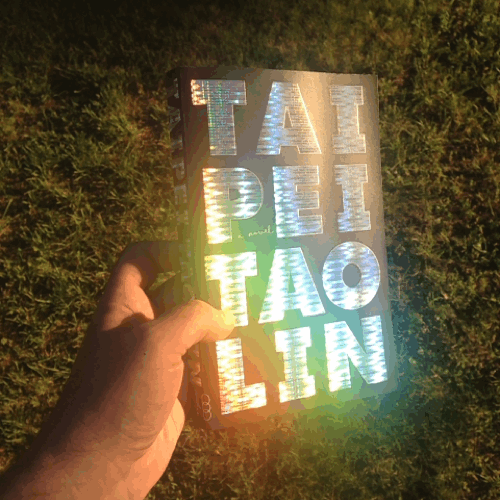 Tao Lin’s Taipei: Are You Smart Enough for the Taipocalypse?