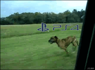 Playstation 4 VS Xbox One Encuesta Insaid