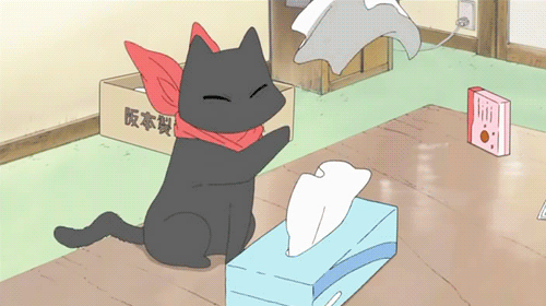 kitten anime gif | WiffleGif