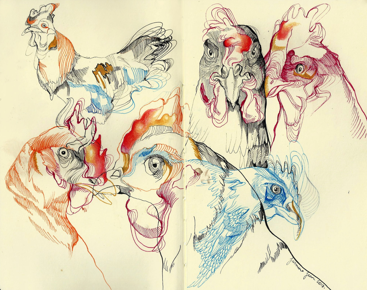 Chickens in a moleskine, drawing by Jasmine Jean.