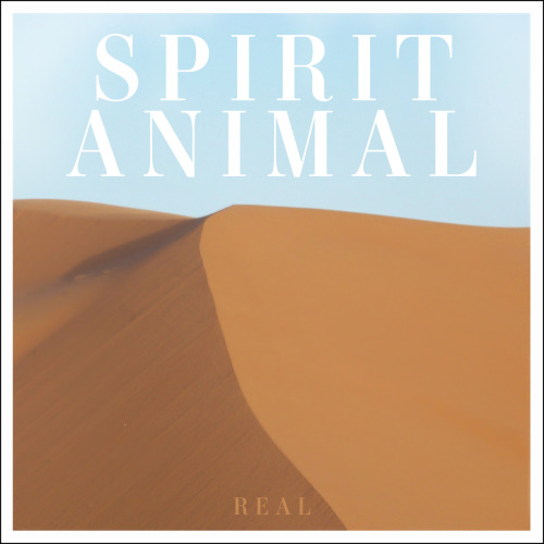Spirit Animal - Real [EP] (2012)