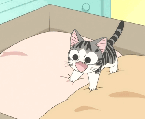 Cat Know Your Meme Anime Eye Internet meme, Cat transparent background PNG  clipart | HiClipart