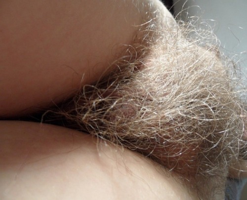 Hairy Grey Pussy 81405 MATURES GRANNIES GREY HAIR ONLY