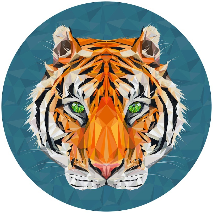 Tiger Tiger by Kirsten McIntoshSee more @toshy-illustration Get $15 prints here.