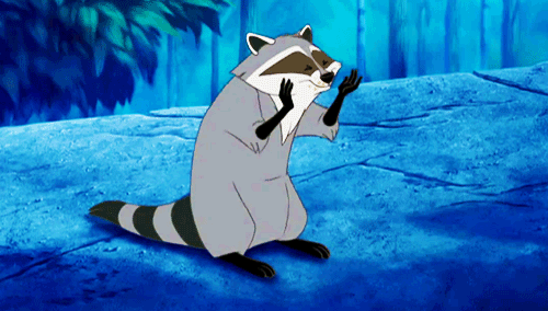 funny raccoon pocahontas gif | WiffleGif