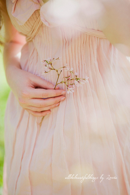 Розовый Весны loretoidas на Flickr.