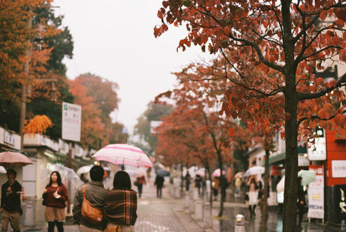 spri1ng: untitled by Kkeina on Flickr. 