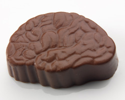 anatomical chocolate | posted by moshita.org
