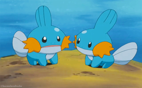 Image result for mudkip gif