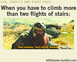 Image result for lotr climb gif