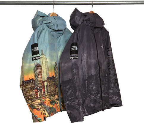 Supreme x The North Face Summit Series Jackets | North face jacket, The