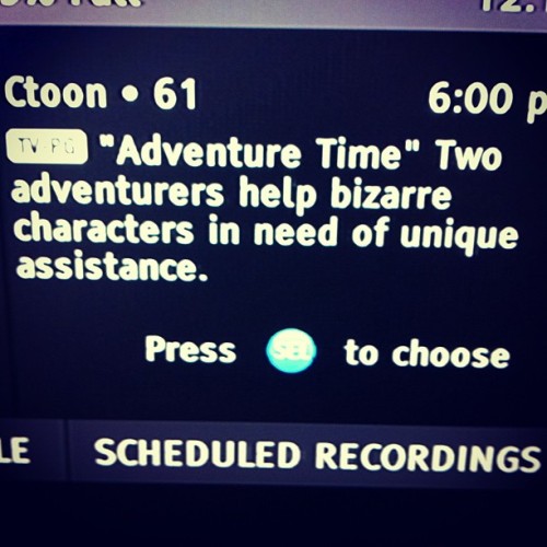 What&#8217;s bizarre about Lumpy Space Princess and her lumpin&#8217; unique needs? #LameDescriptionByTimeWarnerCable