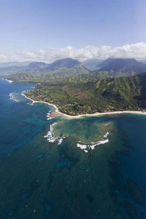 pleoros: Kauai