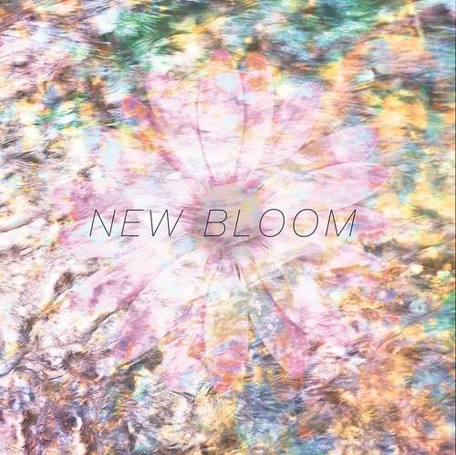 Endless Heights - New bloom (2013)