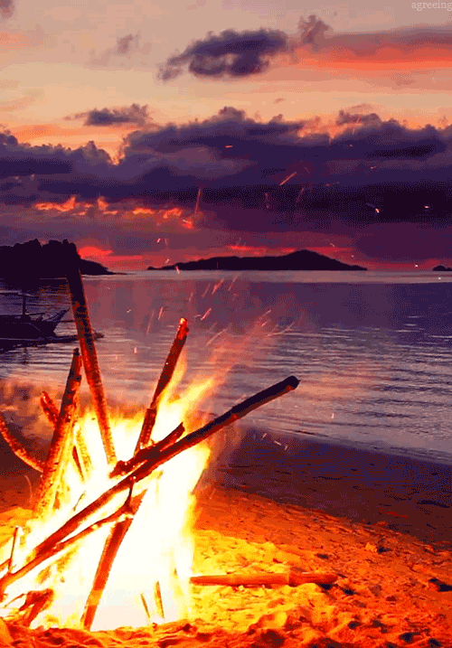  Palawan Island By me I fucking love bon fires