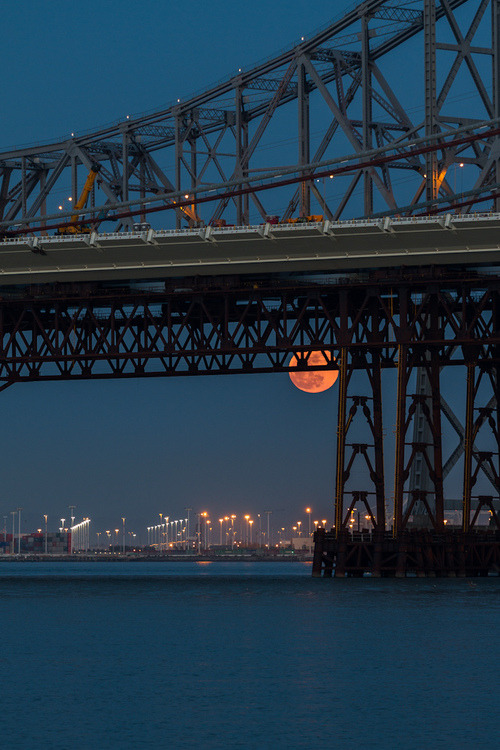 nonconcept: Supermoon 2012, San Francisco by Toby Harriman.