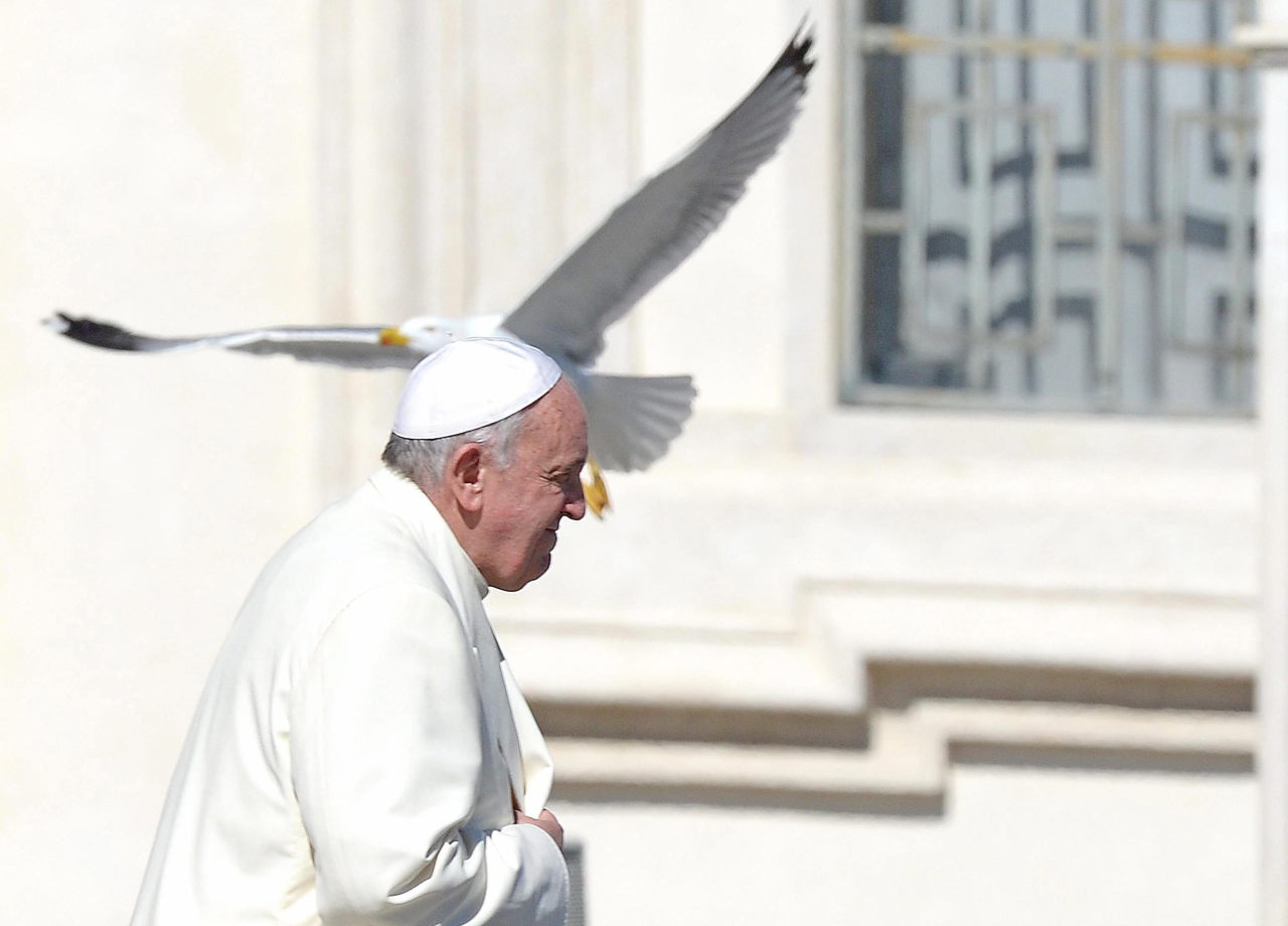 Francisco, candidato al Nobel de la Paz. El argentino Bergoglio integra una lista de 278 nombres elegidos para disputarse el premio
más fotos aquí