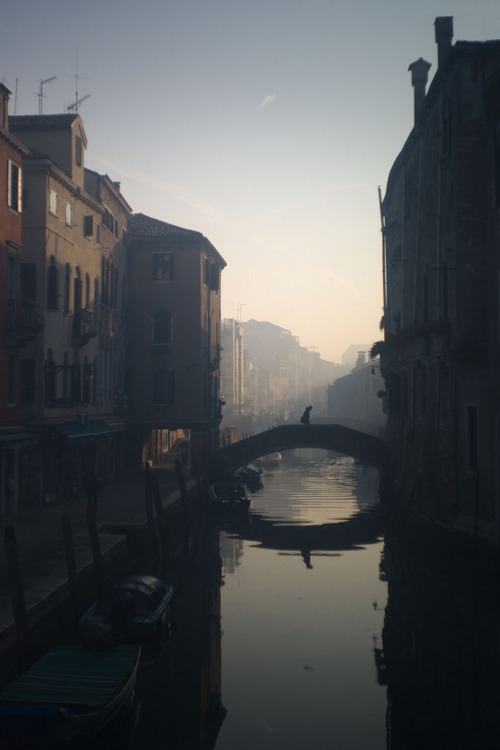 manolescent: Venezia