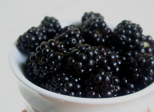 lettucetemptyou: Black berries 