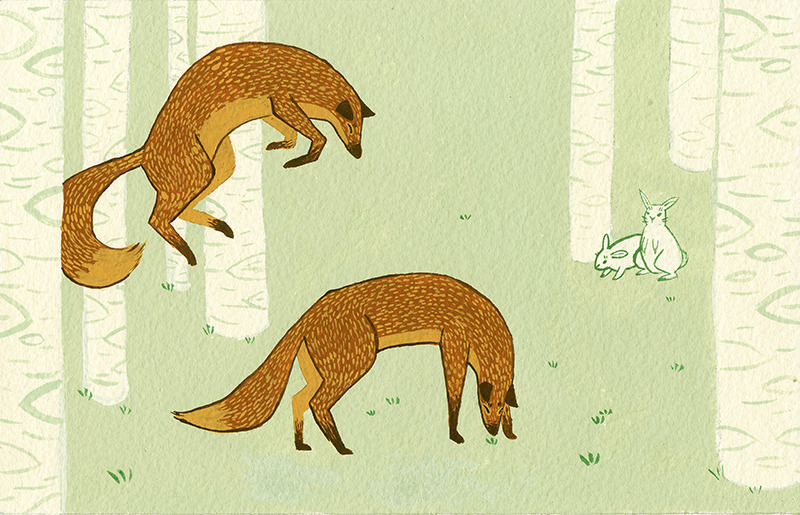 Wrong Focus Foxes by Kailey Lang Check out my Tumblr here!