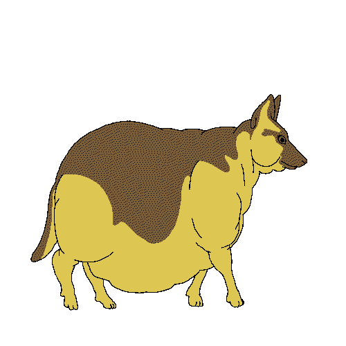 fat dog gifs | WiffleGif