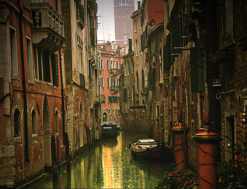 The canals of venice