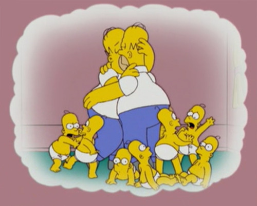 Homer You Are Gay 36
