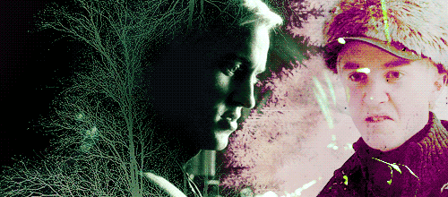 Draco Malfoy Born: 5 June, 1980 Blood status: Pure-bloodHouse: SlytherinWand: Hawthorn, 10&#8221;, unicorn hairPatronus: click