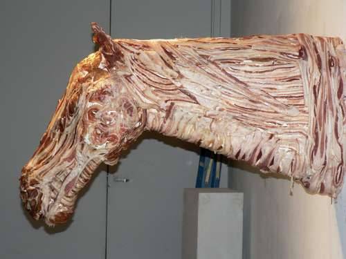 Meat Horse