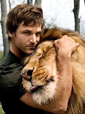 Lion hugs man in the wild