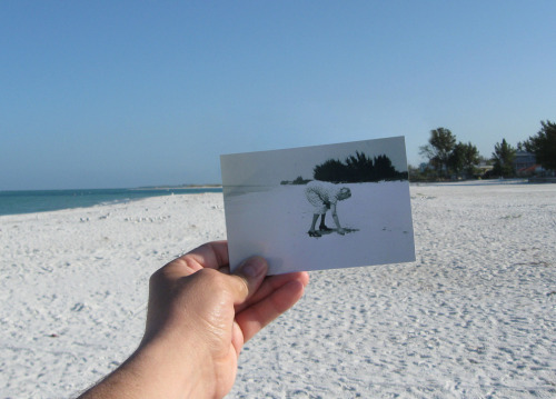 Dear Photograph, Grandma loved this beach. Dan Perry