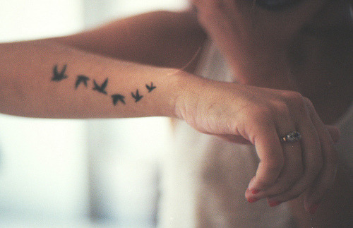 Why I want a tattoo? I want a permanent reminder that I&#8217;m my own person, and have my own freedom. Thus, to represent that, my tattoo will consist of birds. It will also say &#8220;The Shadow Proves the Sunshine&#8221; because, well, the shadow does prove the sunshine. You don&#8217;t know happiness until you know sadness, and you don&#8217;t know faith until you know doubt.