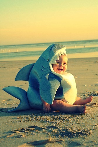 silly: Baby in a shark costume. Awesome.