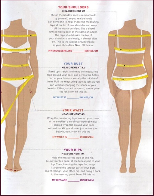 Body fat percentage women