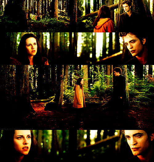 lekinkytwilighters: Edward: We have to leave Forks.Bella: Why?Edward: Carlisle’s supposed to be ten years older than he looks, people are starting to notice. Bella: Ok, I have got to think of something to say to Charlie…when you say ‘we’…Edward: I mean my family and myself.Bella: Edward, what happened with Jasper, it’s nothing…Edward: You’re right, it was nothing…nothing but what I always expected and nothing compared to what could have happened. You just don’t belong in my world, Bella.Bella: I belong with you.Edward: No, you don’t.Bella: I’m coming!Edward: Bella, I don’t want you to come!Bella: You don’t want me?Edward: No.Bella: That changes things…a lot. 