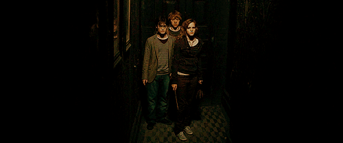 potter-magical: Hermione: Homenum Revelio… We’re alone 