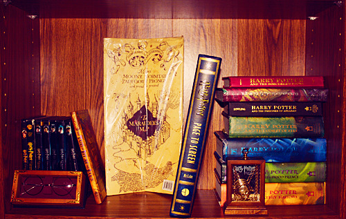  my Harry Potter shelf: 3 